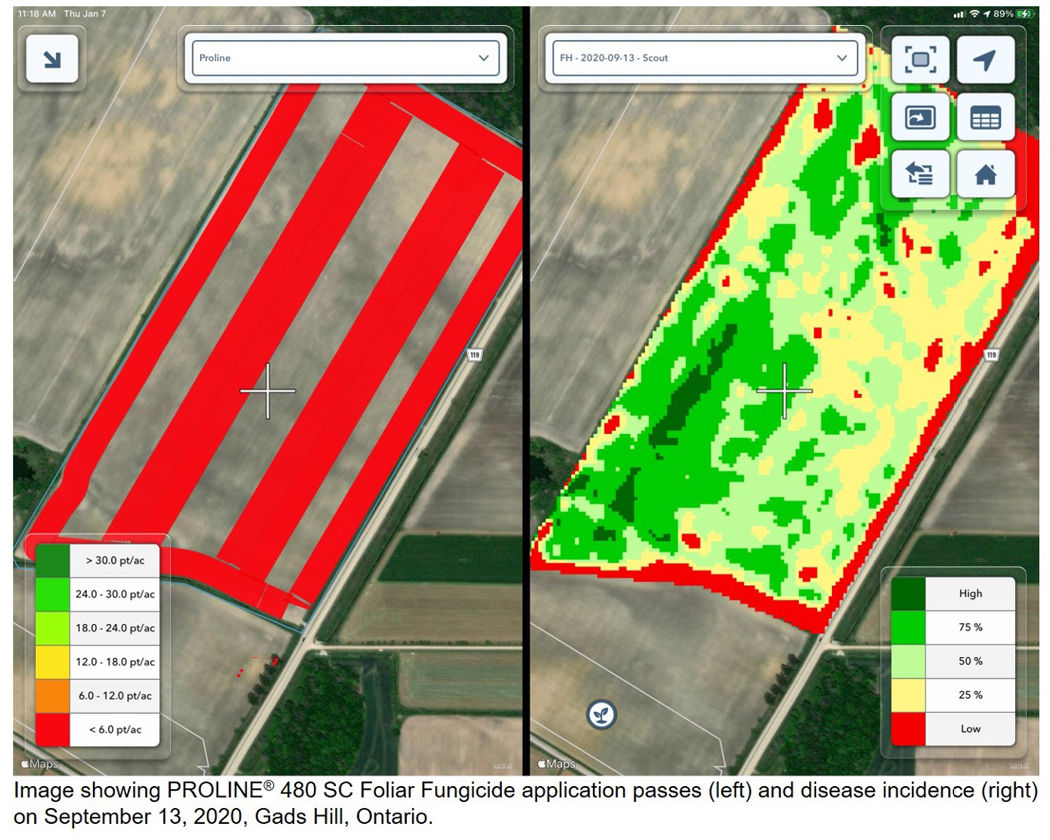 Climate FieldView™ Platform image of PROLINE® 480 SC Foliar Fungicide application passes and disease incidence on September 13, 2020 at Gads Hill, Ontario